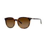 DebSpecs eyewear product style 4350 Round Shiny Tortoise brown tint medium
