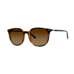 DebSpecs eyewear product style 56780