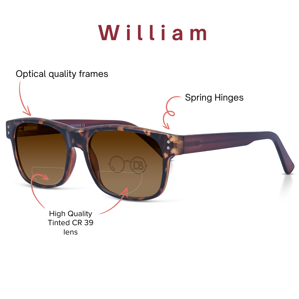 DebSpecs Bifocal Sunglasses William PT02
