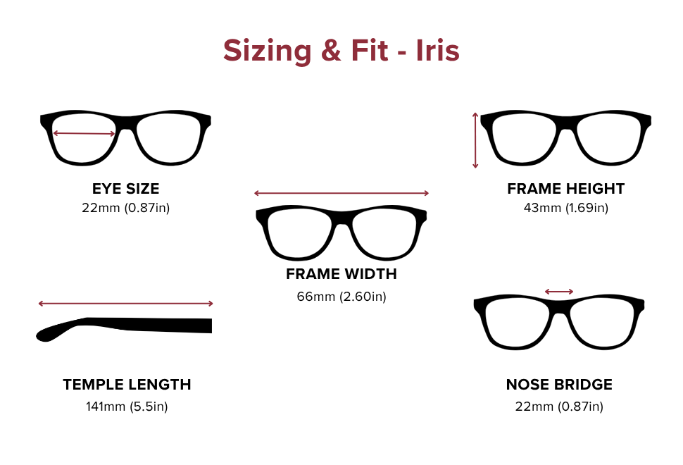 DebSpecs Large-size eyewear fit guide Iris