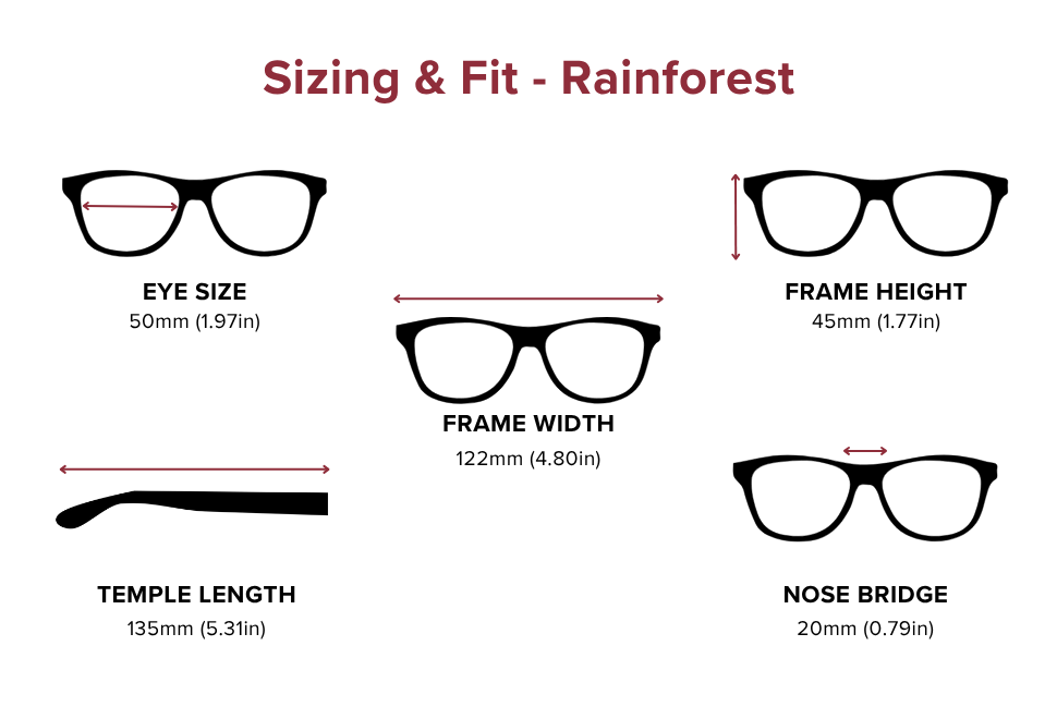 DebSpecs Large-size eyewear fit guide Rainforest
