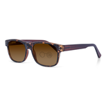 DebSpecs William 45 Color Tortoise eyewear
